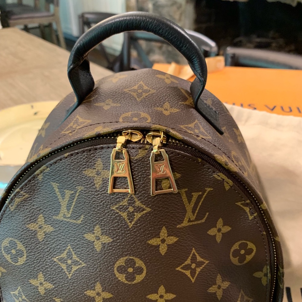 ❌SOLD❌WAITLISTED Louis Vuitton Palm Springs Backpa - Picture 2 of 8